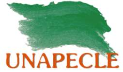 logo UNAPECLE